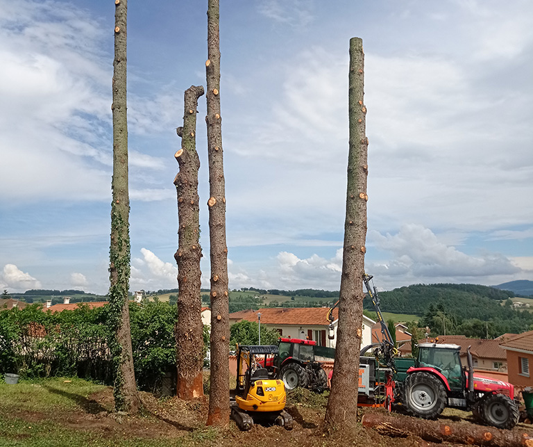 Abattage arbre difficile Veauche