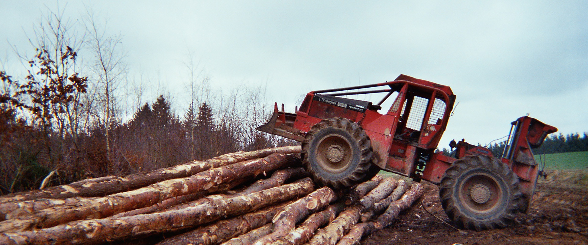 Bois de chauffage - Exploitation Forestière Mont de Marsan