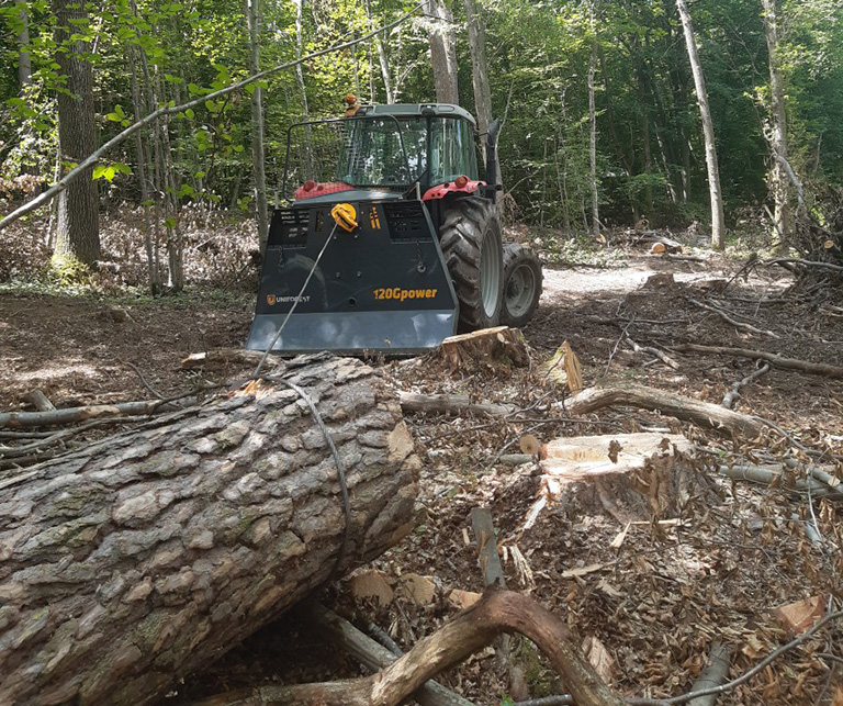 Débardage : abattage arbre Veauche