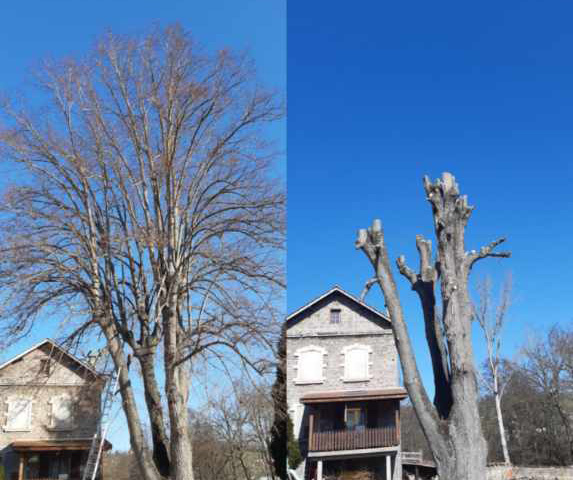 Elagage d'arbres Veauche