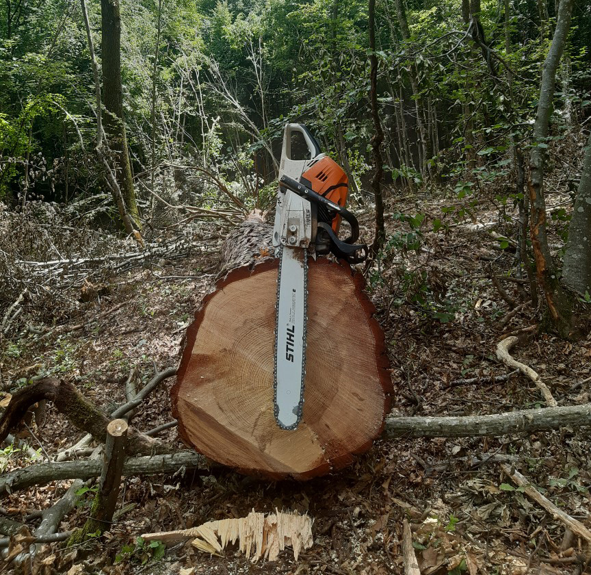 Rognage de souche Veauche